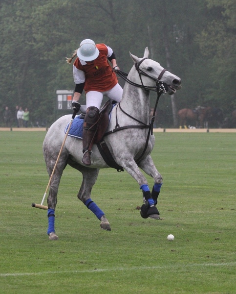 Polo_Art   117.jpg